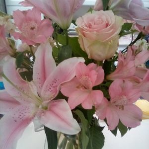 Meet your Posher, Debra